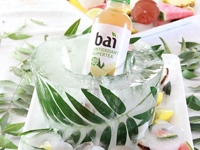 A Bubbly Life Palm Leaf Ice Bucket